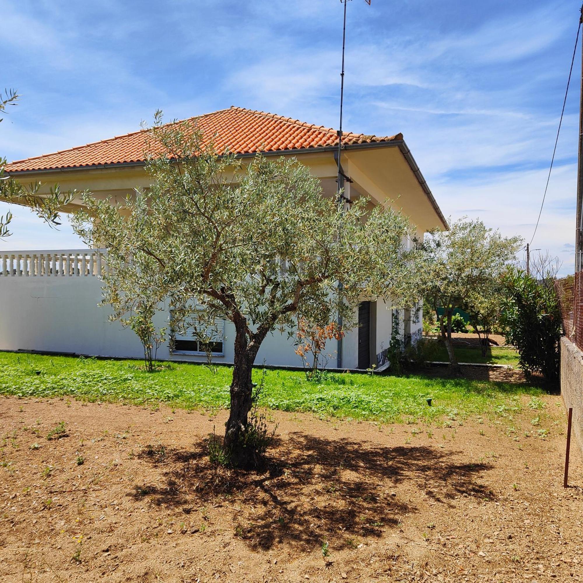 Villa Mendes Oliva アルメイダ エクステリア 写真